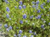 img027.jpeg.small.jpeg