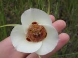img030.jpeg.small.jpeg