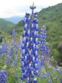 img032.jpeg.small.jpeg