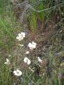 img034.jpeg.small.jpeg