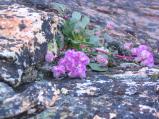 img045.jpeg.small.jpeg