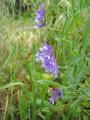 img047.jpeg.small.jpeg