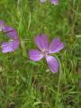 img058.jpeg.small.jpeg
